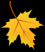 是一幅将健康深深雕刻正在绿水青山间的蓝